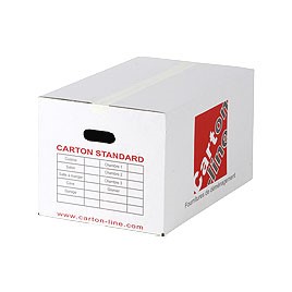 Carton standard 4